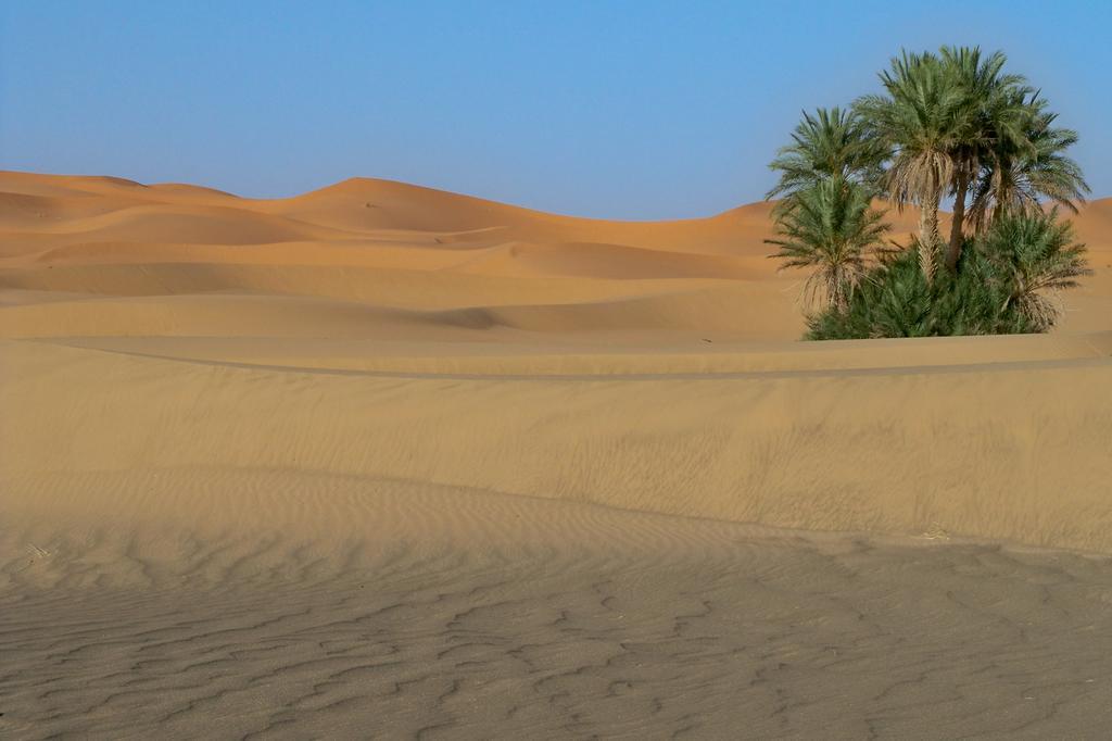 Kasbah Tamariste Bed & Breakfast Merzouga Exterior photo
