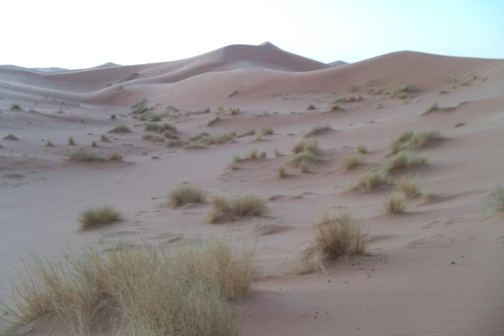 Kasbah Tamariste Bed & Breakfast Merzouga Exterior photo